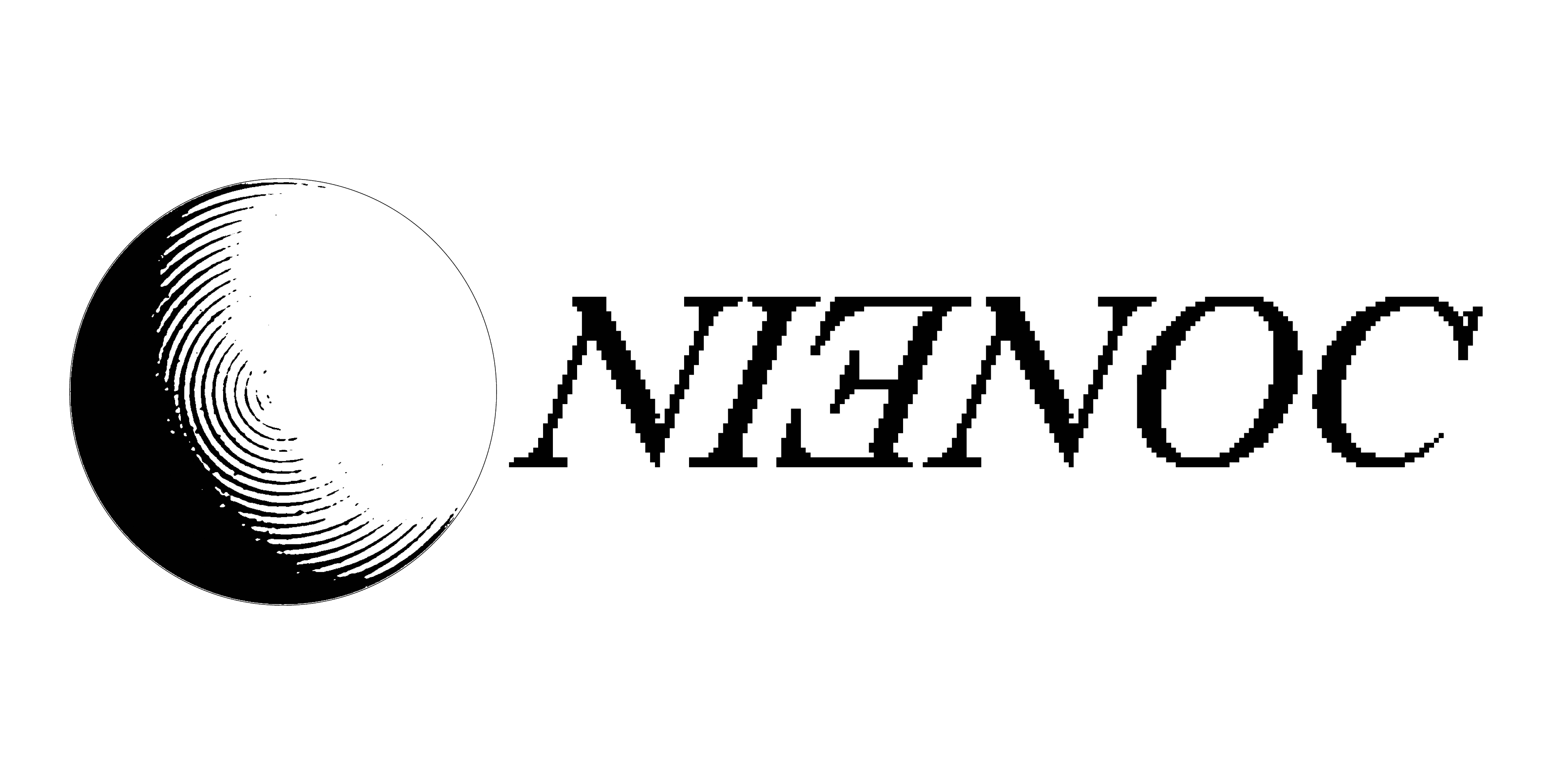 logo kolektywu nienoc